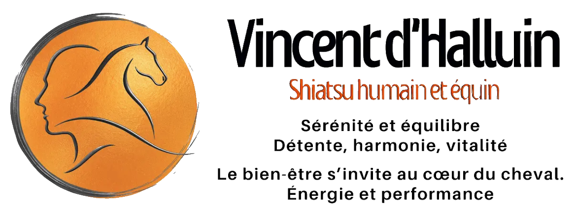 Logo Prix VINCENT DHALLUIN SHIATSU