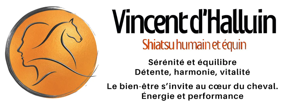 Logo Prix VINCENT D'HALLUIN SHIATSU